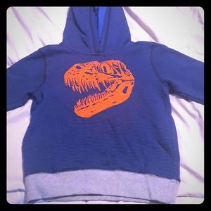 Boys Gymboree dinosaur hoodie